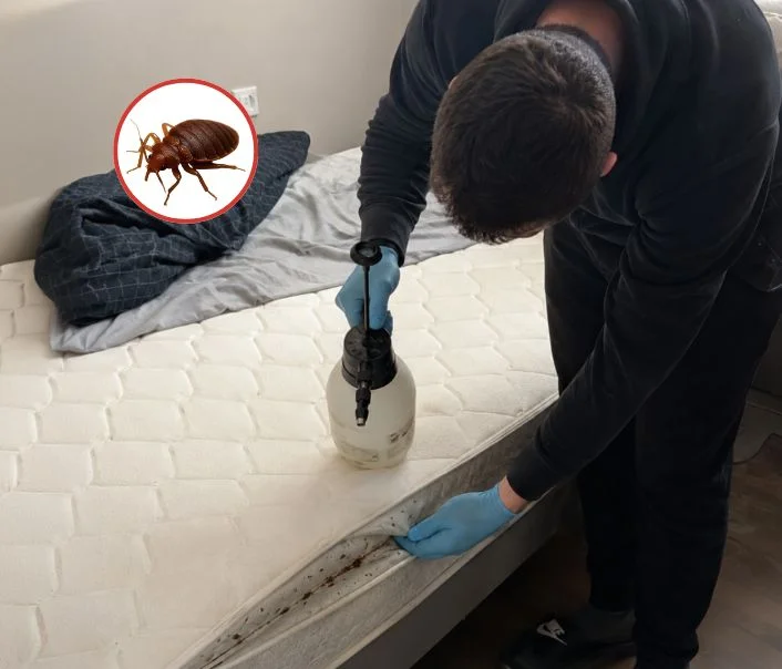 Technicien traitant un matelas contre les punaises de lit à Puteaux
